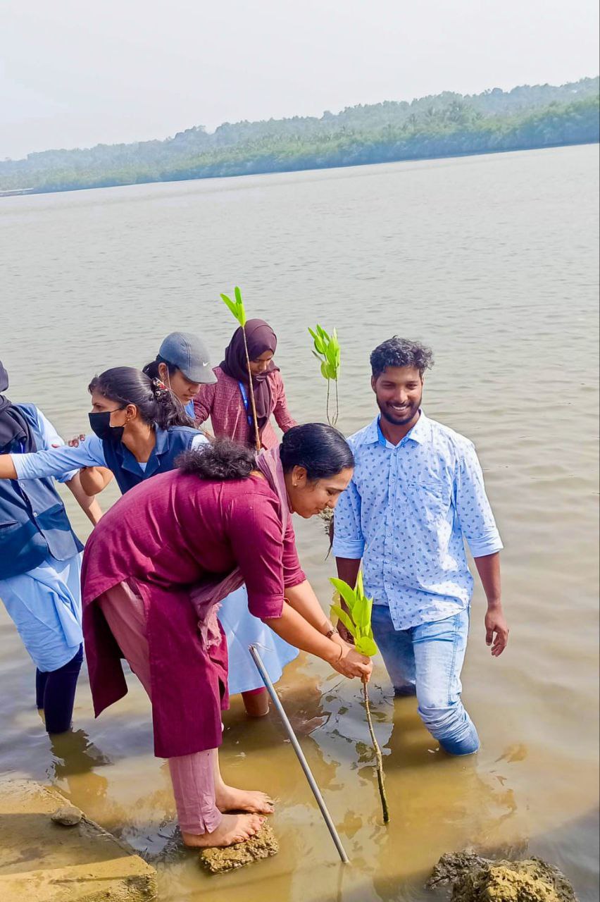 Planting of Mangroves